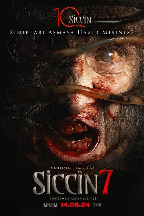 Siccin 7 Poster